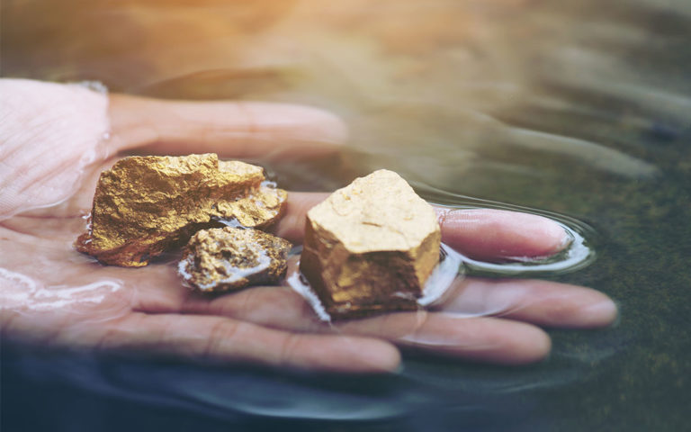 Golden Nuggets – The Hidden Value of Professional Development